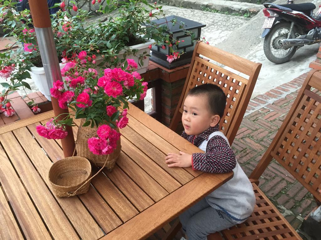 Thai Binh Шапа